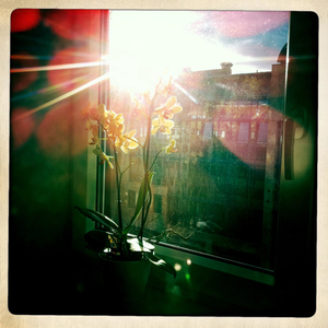 Hip 332964364.263765