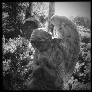 Hip 335808958.020466