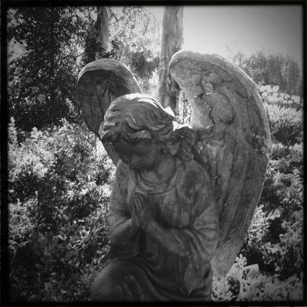 Hip 335808958.020466