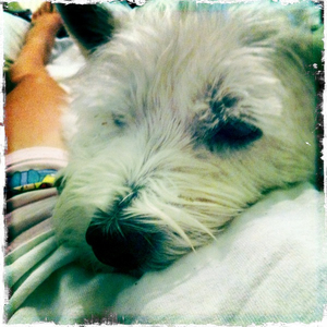 Hip 335912451.329400