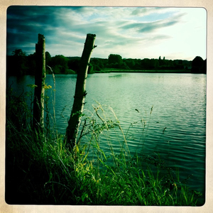 Hip 335899507.967846