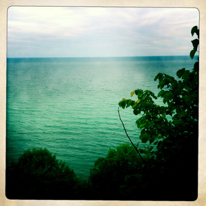 Hip 335835544.213214