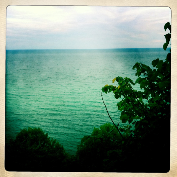 Hip 335835544.213214