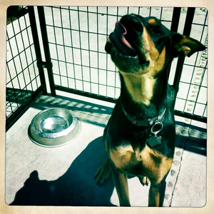 Hip 335907980.474255