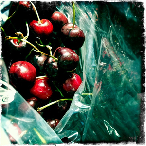 Hip 333117408.468898