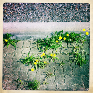 Hip 324655553.937765