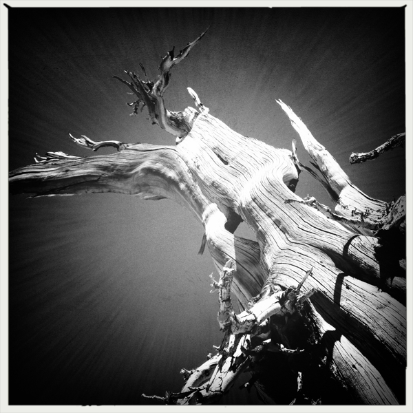 Hip 335657005.151524