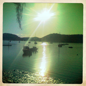 Hip 334045158.564952