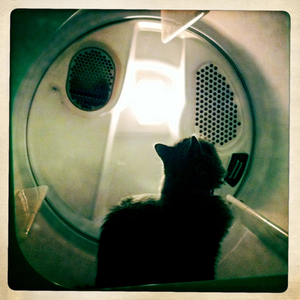 Hip 335841720.614654