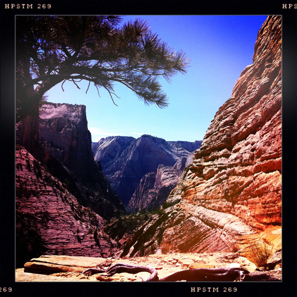 Hip 335908773.438067