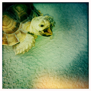 Hip 335898545.546561