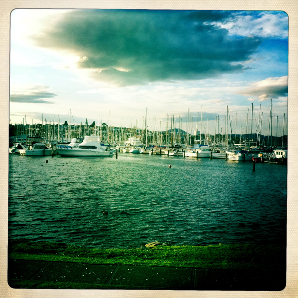 Hip 335861194.130102