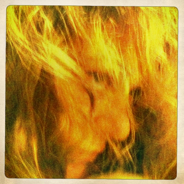 Hip 335923495.938482