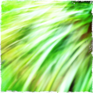 Hip 335923102.752979