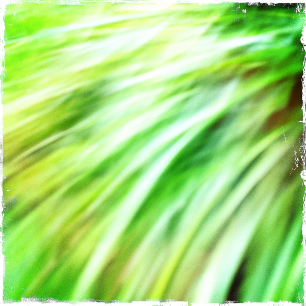 Hip 335923102.752979