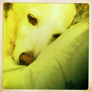 Hip 335752837.994363