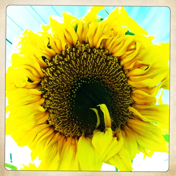 Hip 335911177.534857