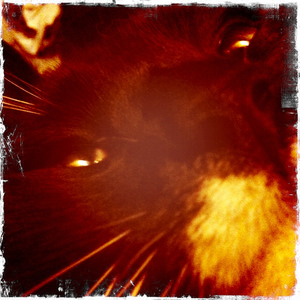 Hip 335924614.620167