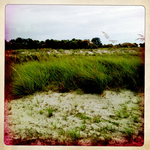 Hip 334603932.497133