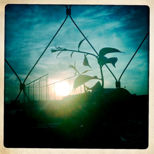 Hip 299030447.851849