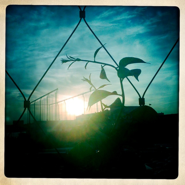 Hip 299030447.851849