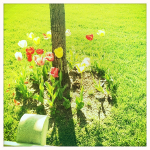 Hip 325886467.006074