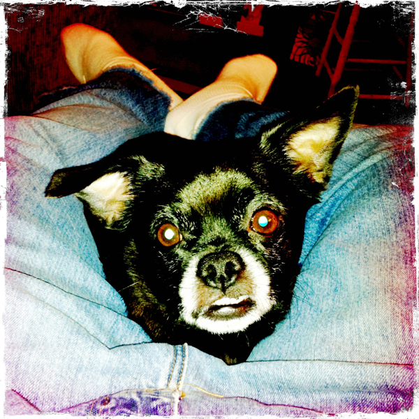 Hip 331436479.967879