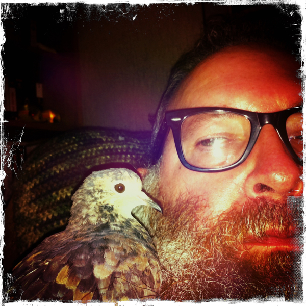 Hip 330318395.451630