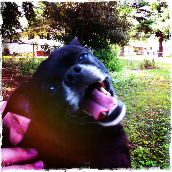 Hip 330204722.686883