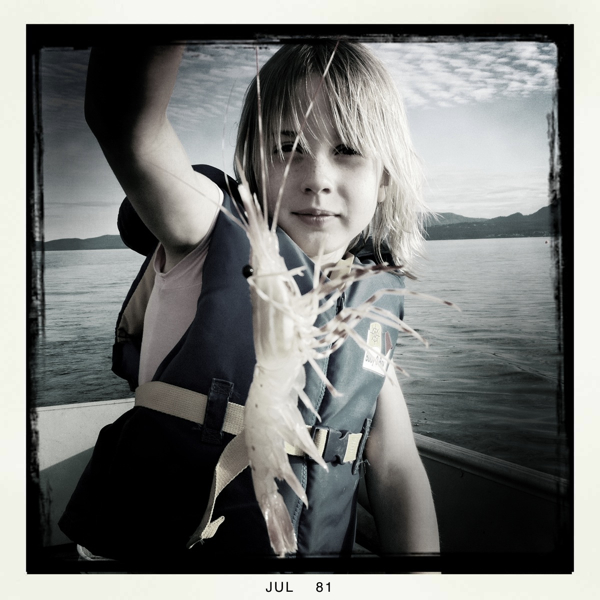 Hip 332044162.513215