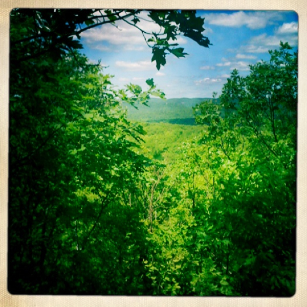 Hip 295634464.299783