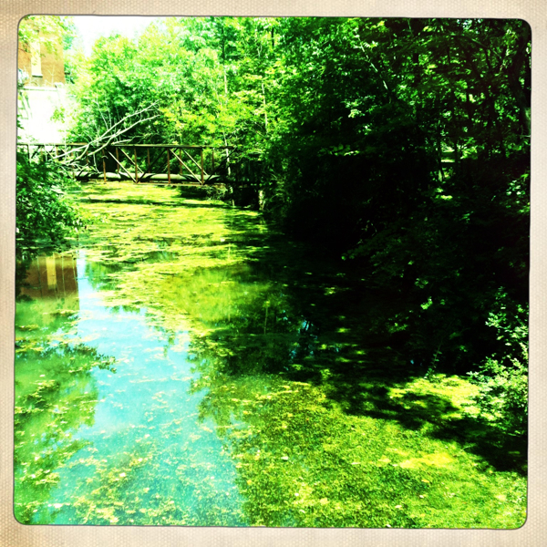 Hip 332189065.106268