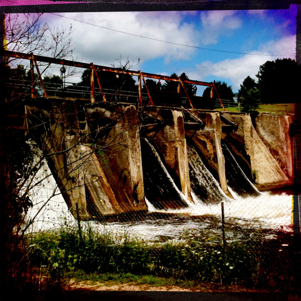 Hip 334088493.424006