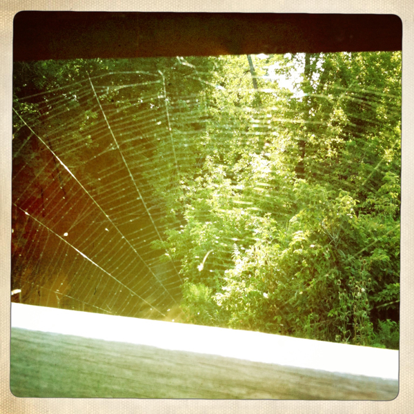 Hip 335918536.584216