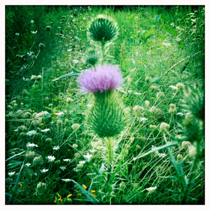 Hip 335916733.394901