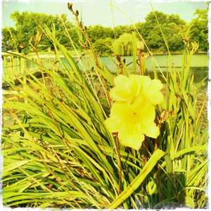 Hip 335917922.932526