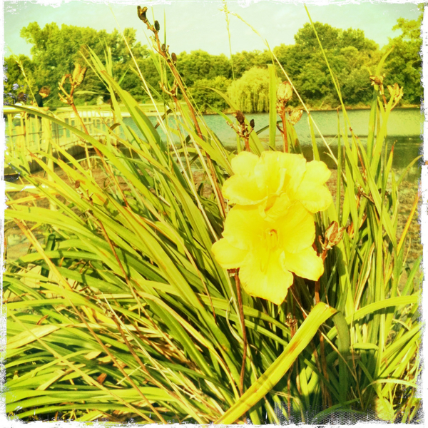 Hip 335917922.932526