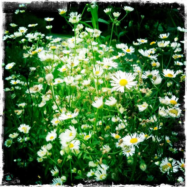 Hip 335916287.827449