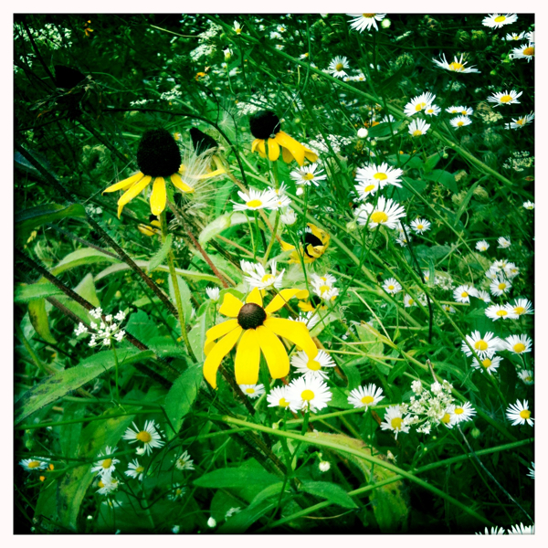 Hip 335916779.726367