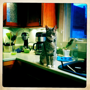 Hip 335933226.486578