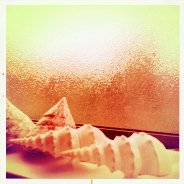 Hip 335937026.344550