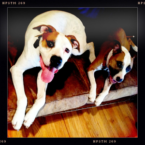 Hip 335634480.361316