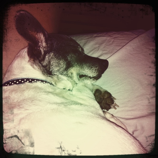 Hip 335939683.352461