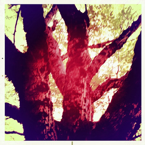 Hip 333216350.913348