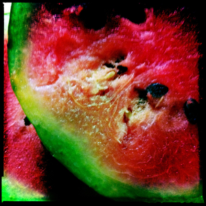 Hip 335502617.347449