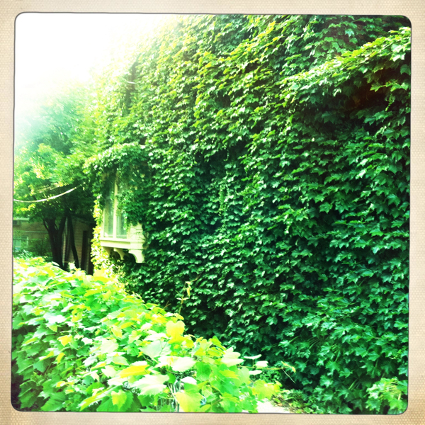 Hip 335833872.737262