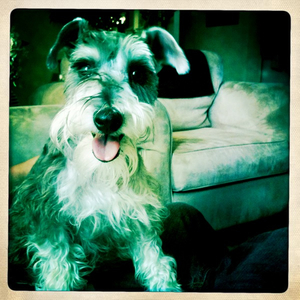 Hip 335060740.041085