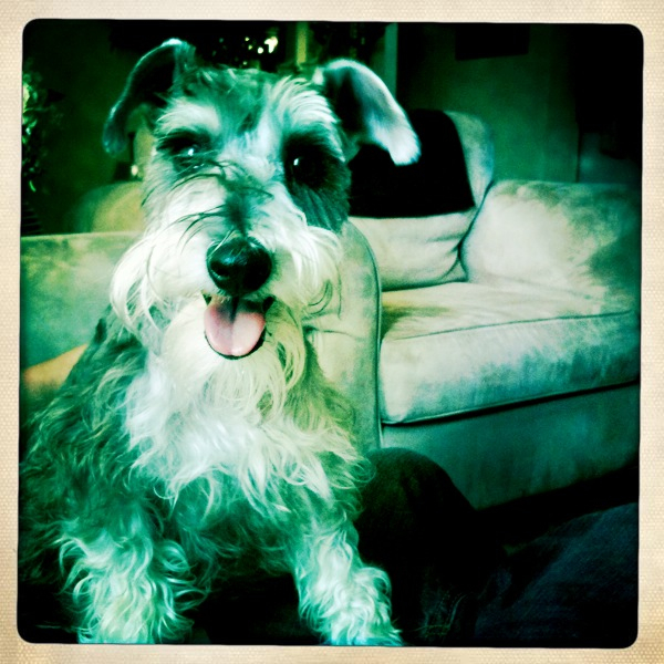 Hip 335060740.041085