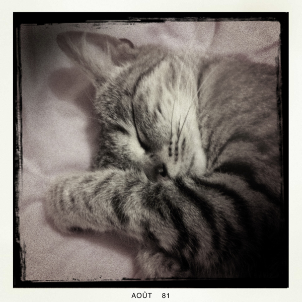 Hip 335924353.717213