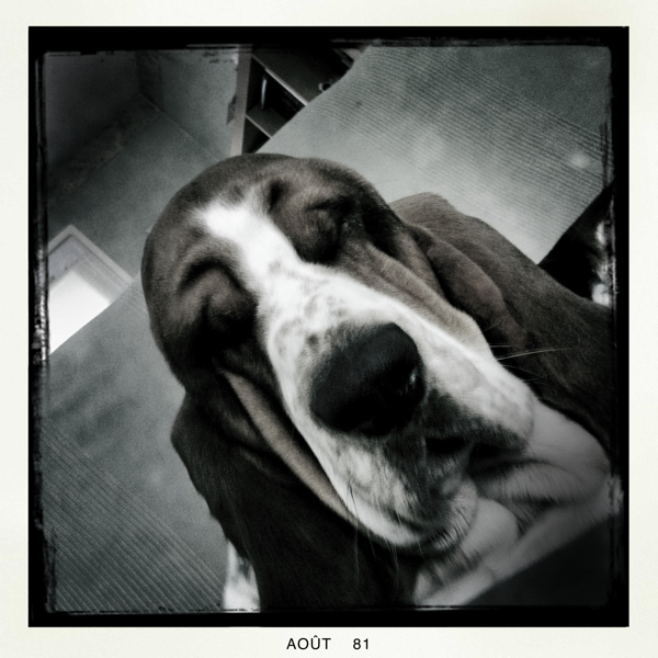 Hip 335801606.196714